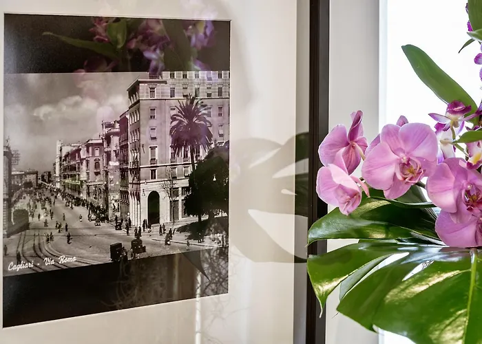 Birkin Marina Casa de hóspedes